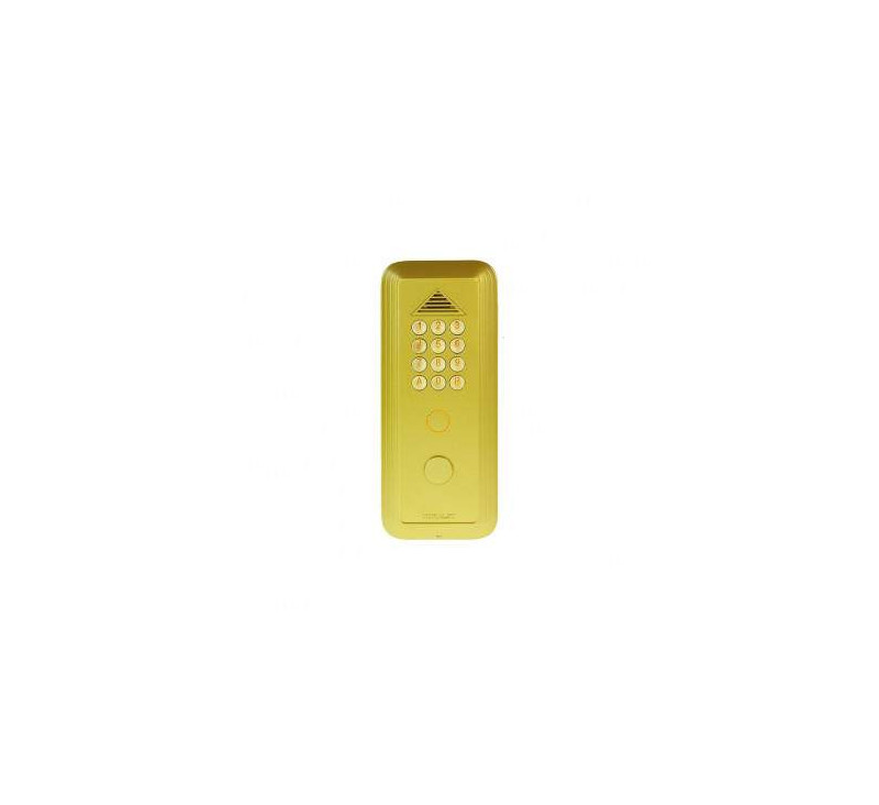Portacode ANDY-Zamak champagne encastrable-2 relais-Touches rétro-éclairées 16 mm braille-Synthèse vocale-Leds-Trou bouchonné
