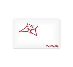 Badge avec clé privé Vauban...