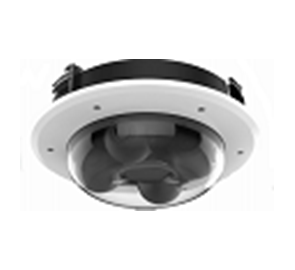 Panoramic Dome - 20MP -...