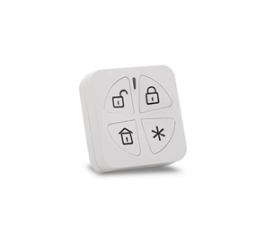 TÉLÉCOMMANDE PANDA 4...