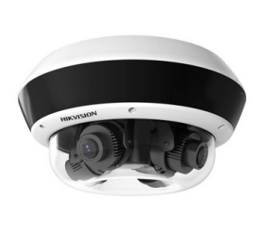 Panoramic Dome - 20MP -...