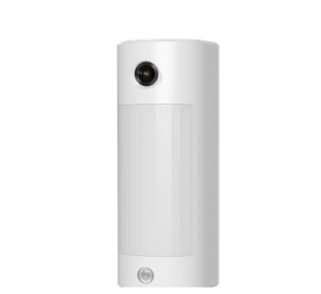 Outdoor PIRCAM Double...